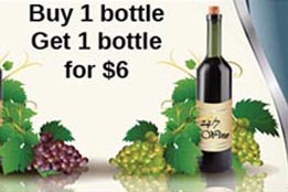 Wine Sale Email with Illustrations